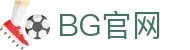 BG大游(集团)唯一官方网站